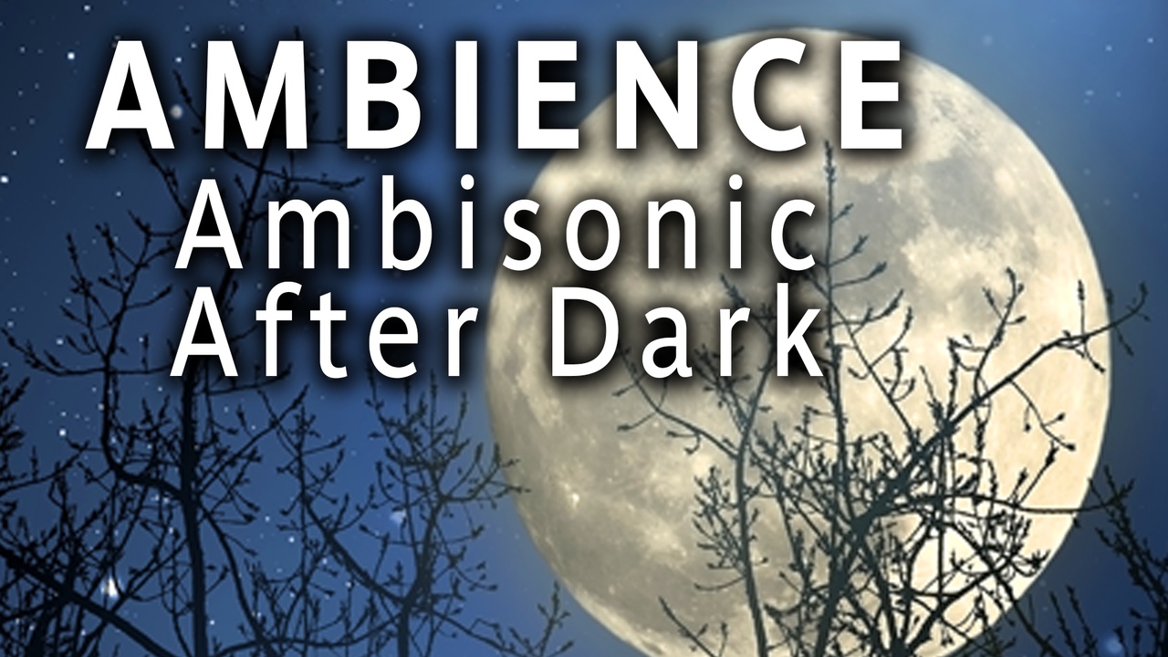 Media 1 for listing Ambisonic After Dark