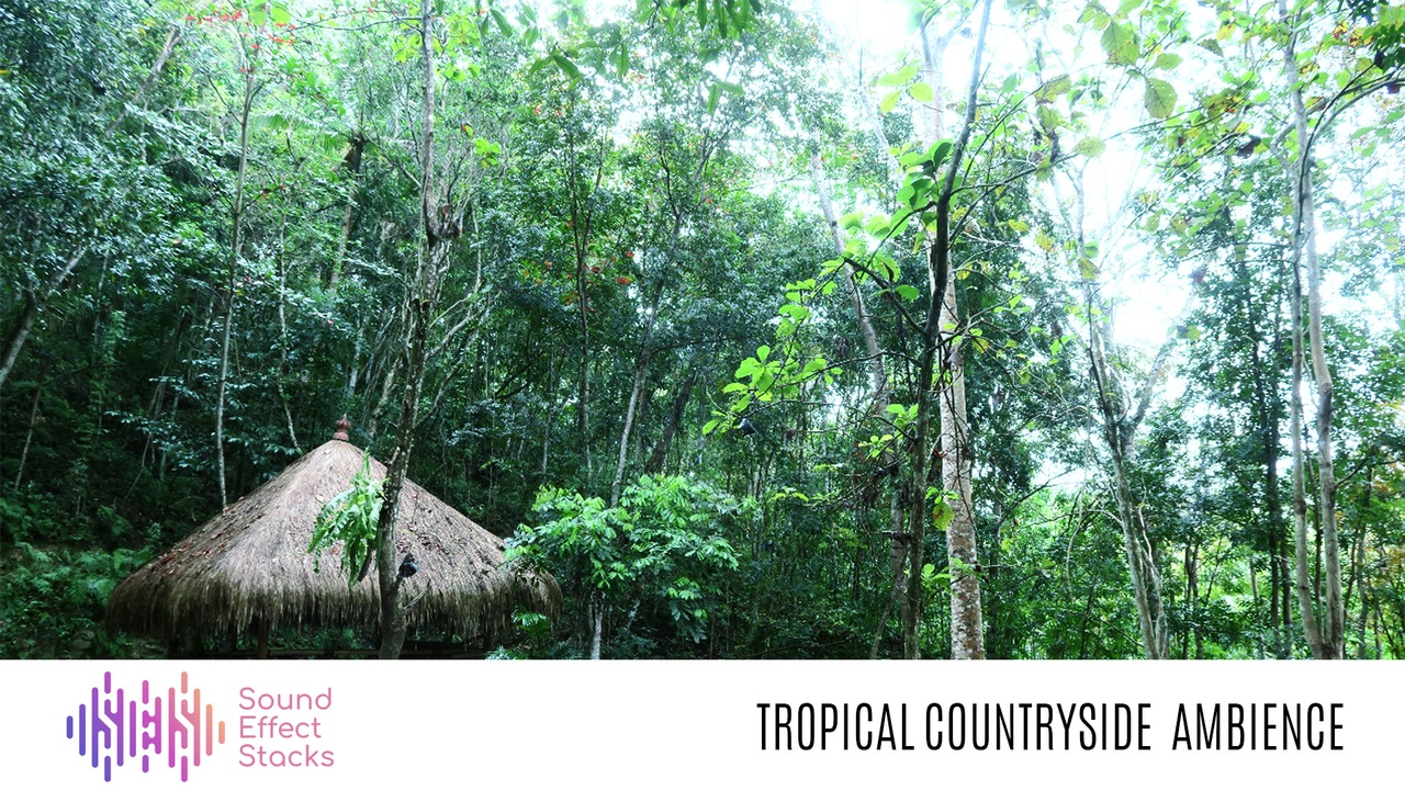 Media 1 for listing Tropical Countryside Ambience