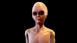 Realistic Alien 1 | Fab