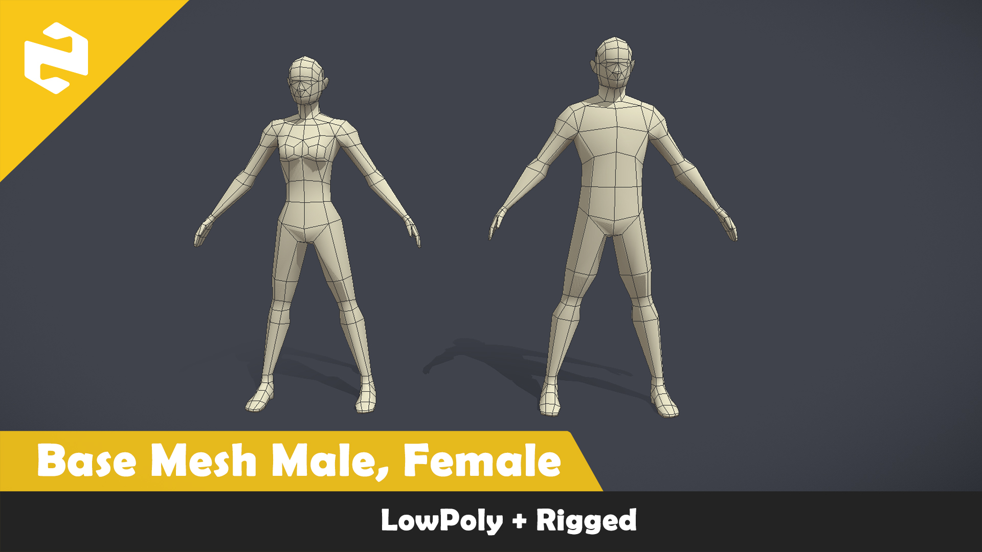 Base Mesh Pack - Lowpoly Male, Female ( Rigged ) | Fab