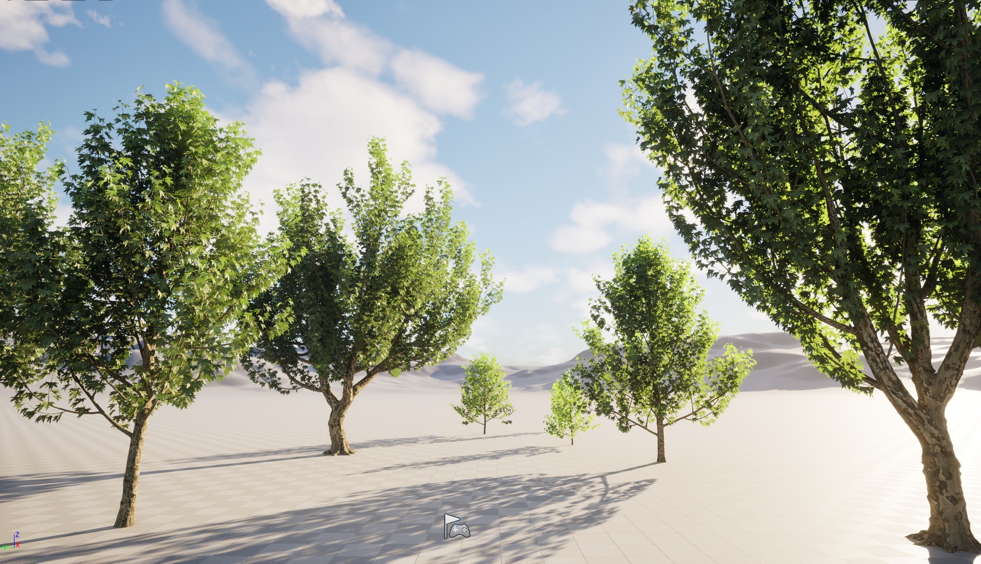 Media 1 for listing UE5 Wind Tree - Platanus orientalis - Oriental Plane (Highpolylow Poly)