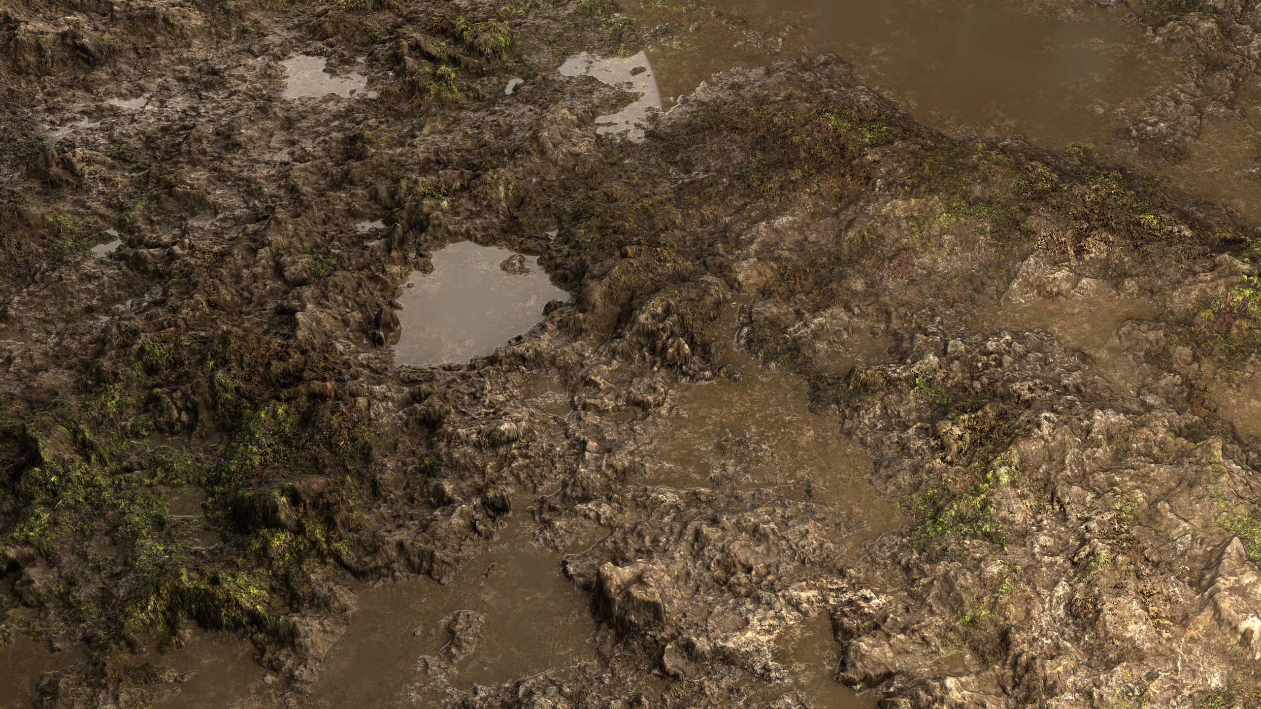 Media 1 for listing Swamp Mud 8K PBR Texture