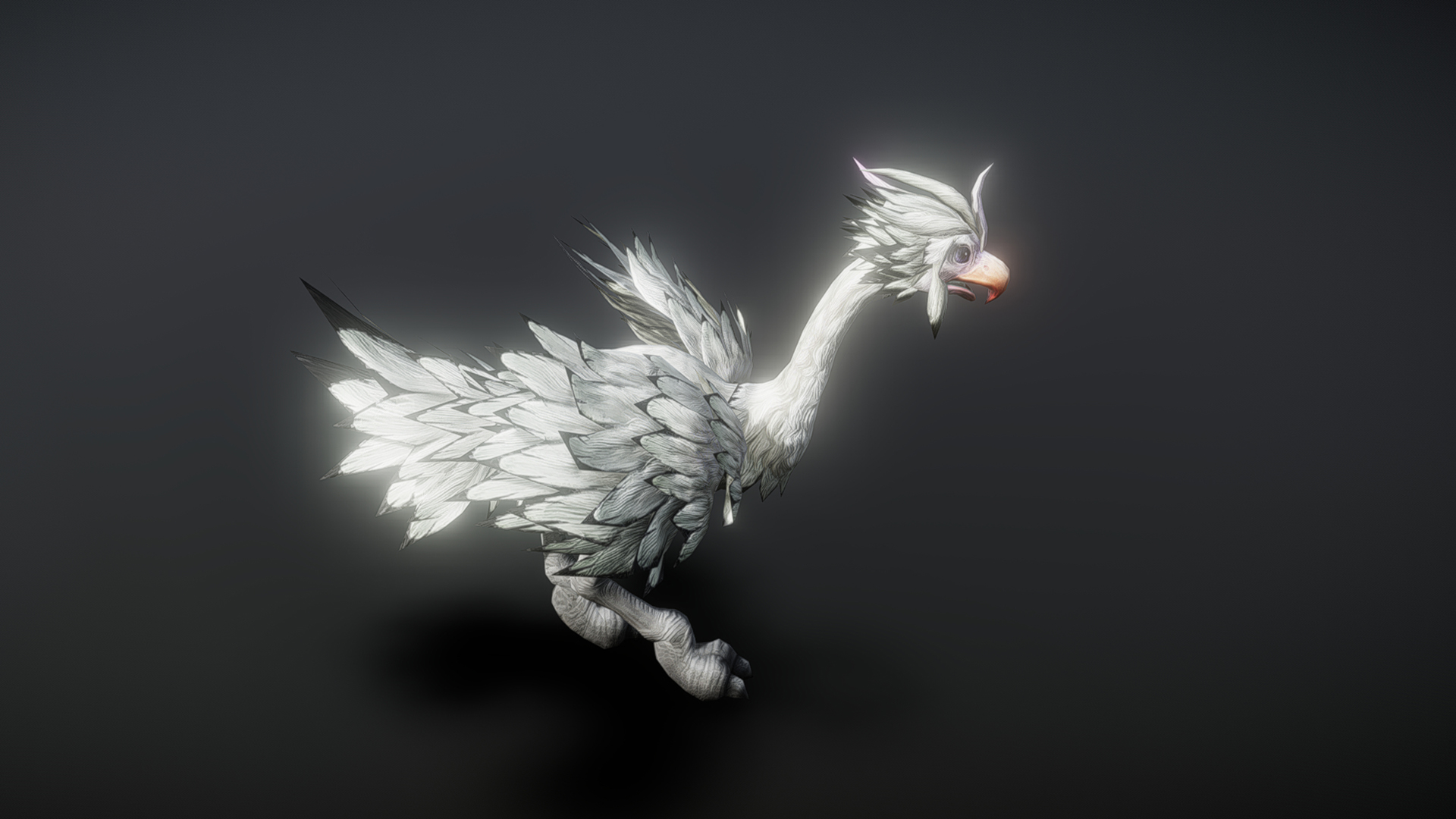 Ostrich Animation Ostrich animation | Fab