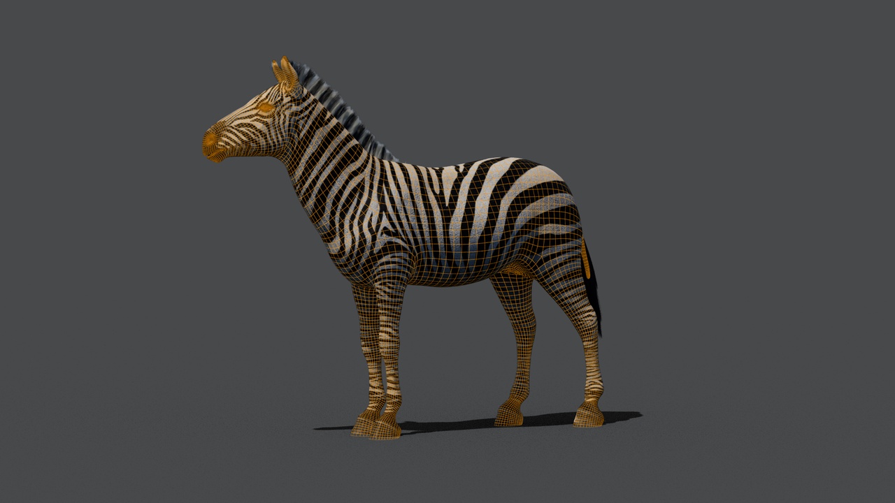 Media 1 for listing Zebra Maya