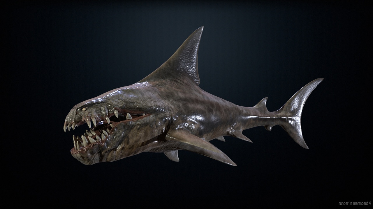 Media 1 for listing Shark2
