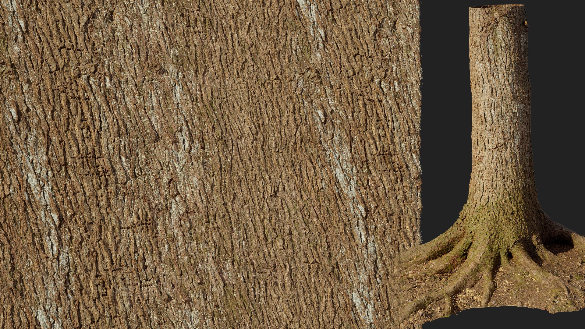 Media 1 for listing Eastern Hemlock Bark 01