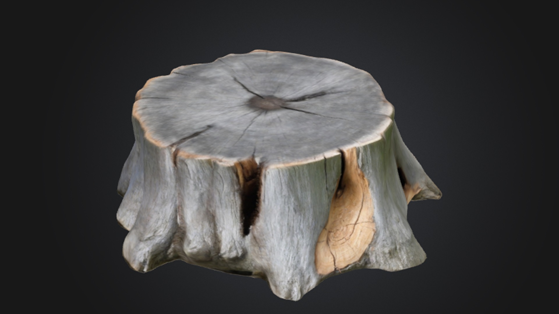 Tree Stump | Fab