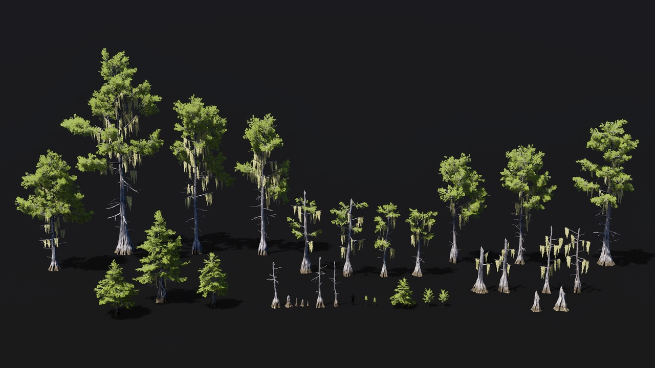 Media 1 for listing Bald Cypress trees pack of 32 mid poly assets