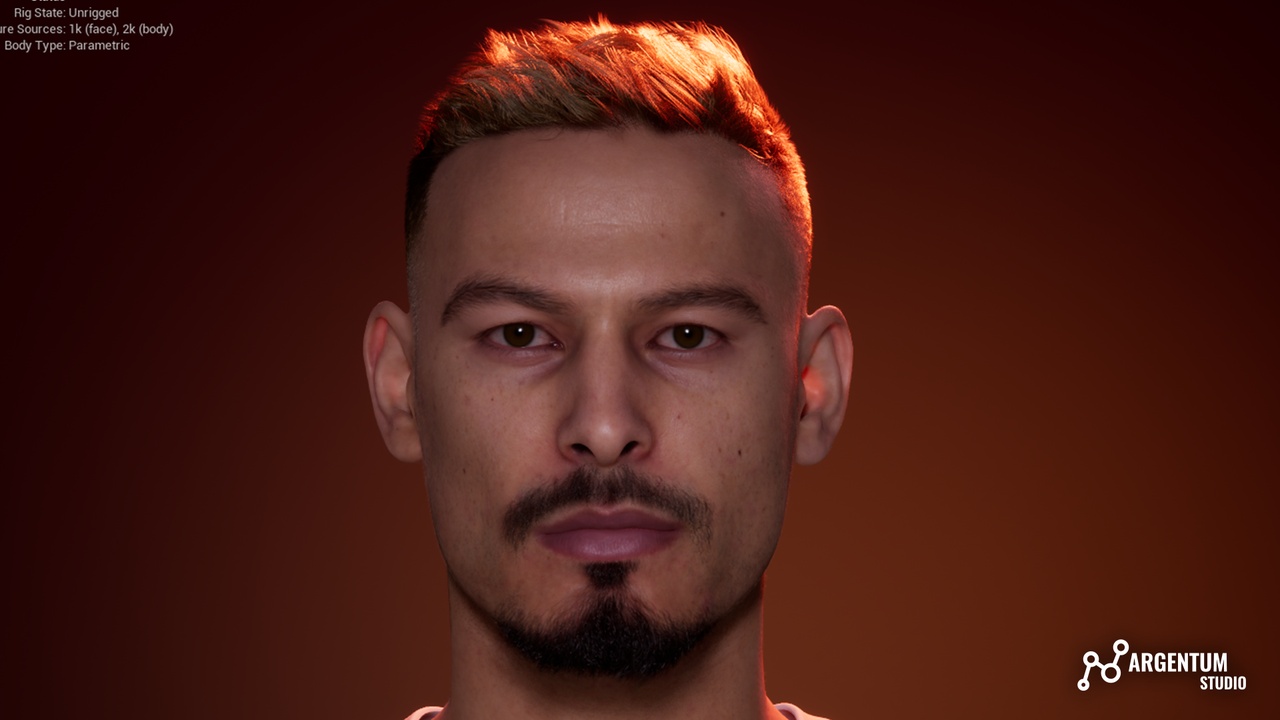 Media 1 for listing Male Short Hair - Argentum - M014