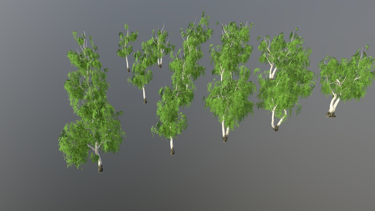 Media 1 for listing Five Birch trees pack (lowpoly, LODs)