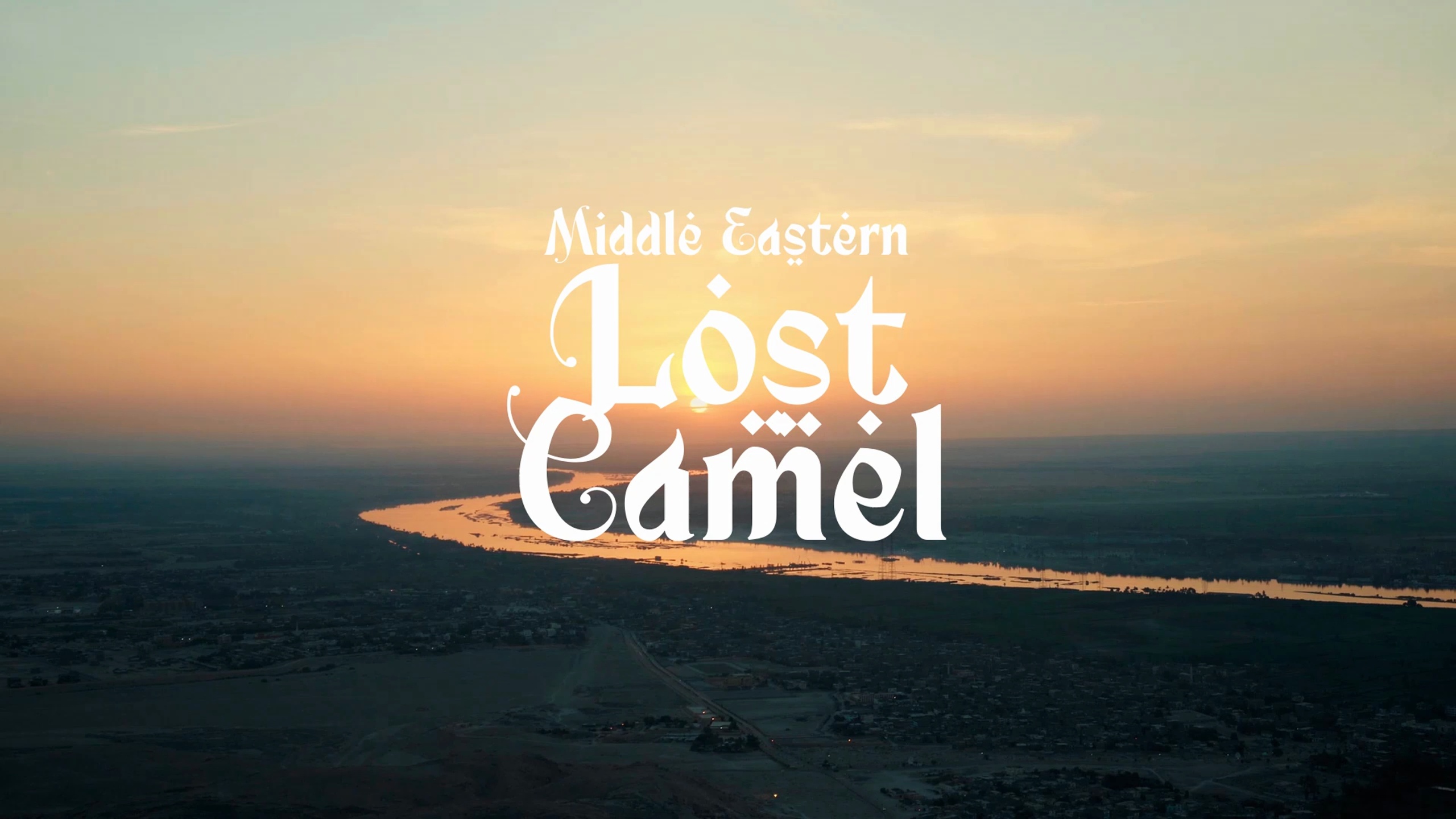 Media 1 for listing Lost Camel / Middle Eastern