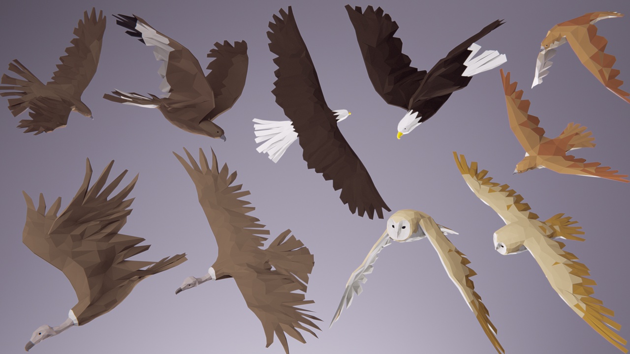 Media 1 for listing Low Poly Bird: Predator Pack