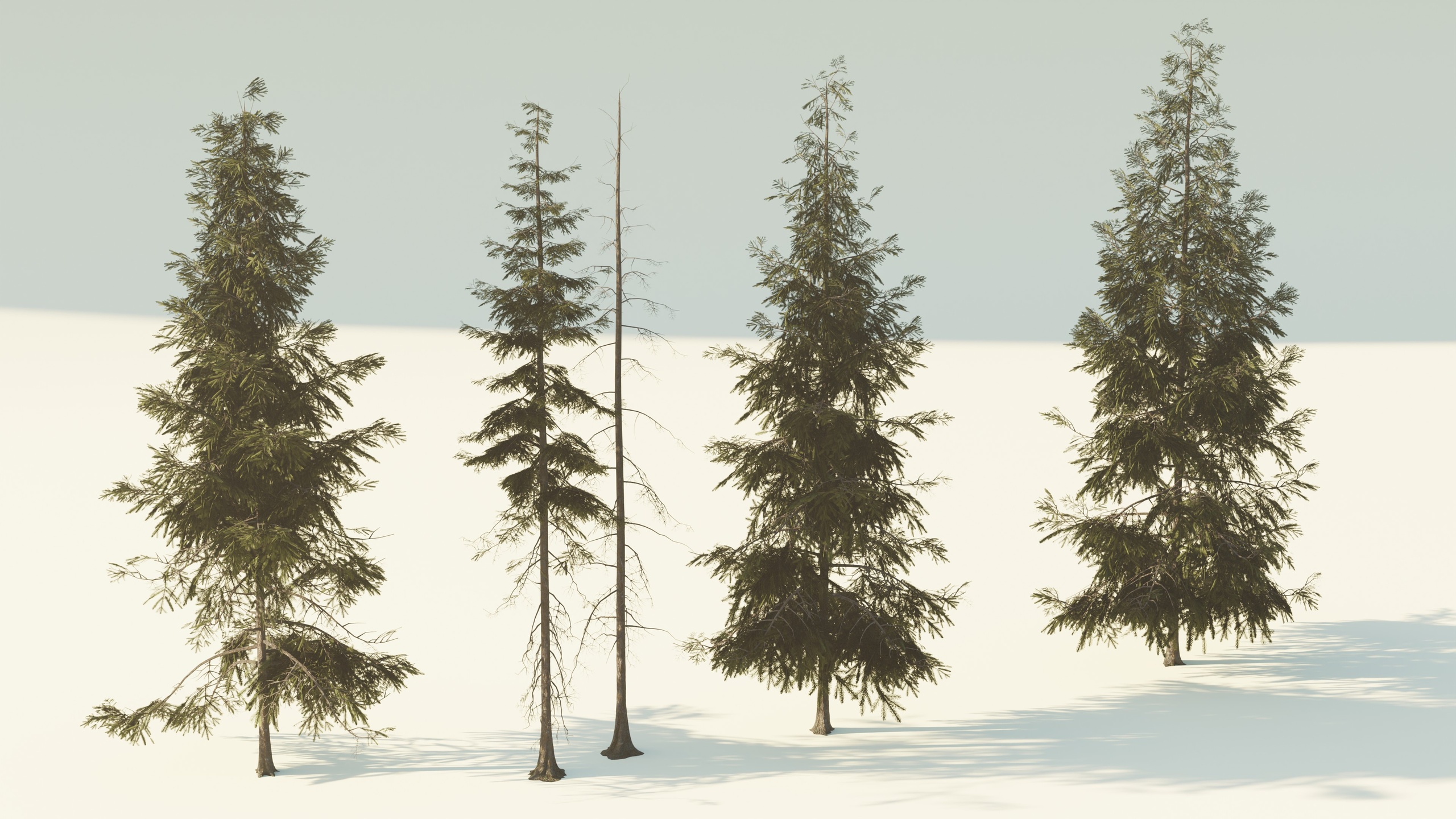 Any Spruce Tree Generator(Geometry nodes) 100+ parameters | Fab
