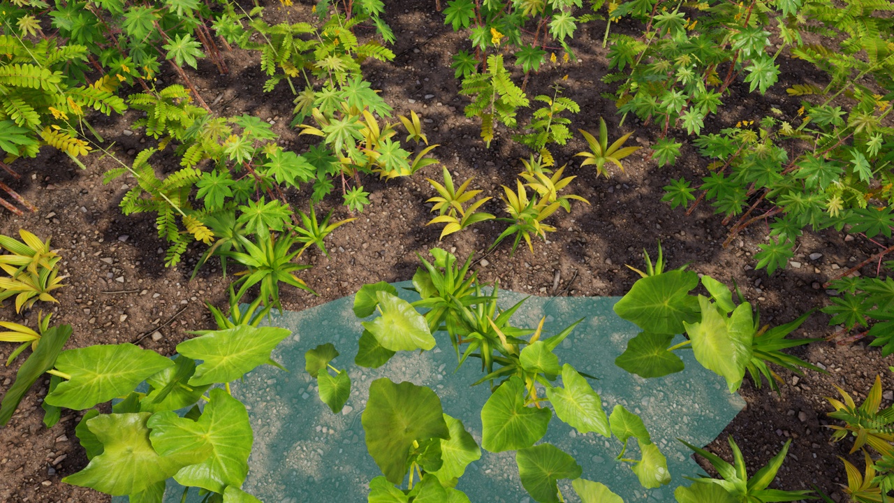 Media 1 for listing tropical Vegetation: Ground Plants
