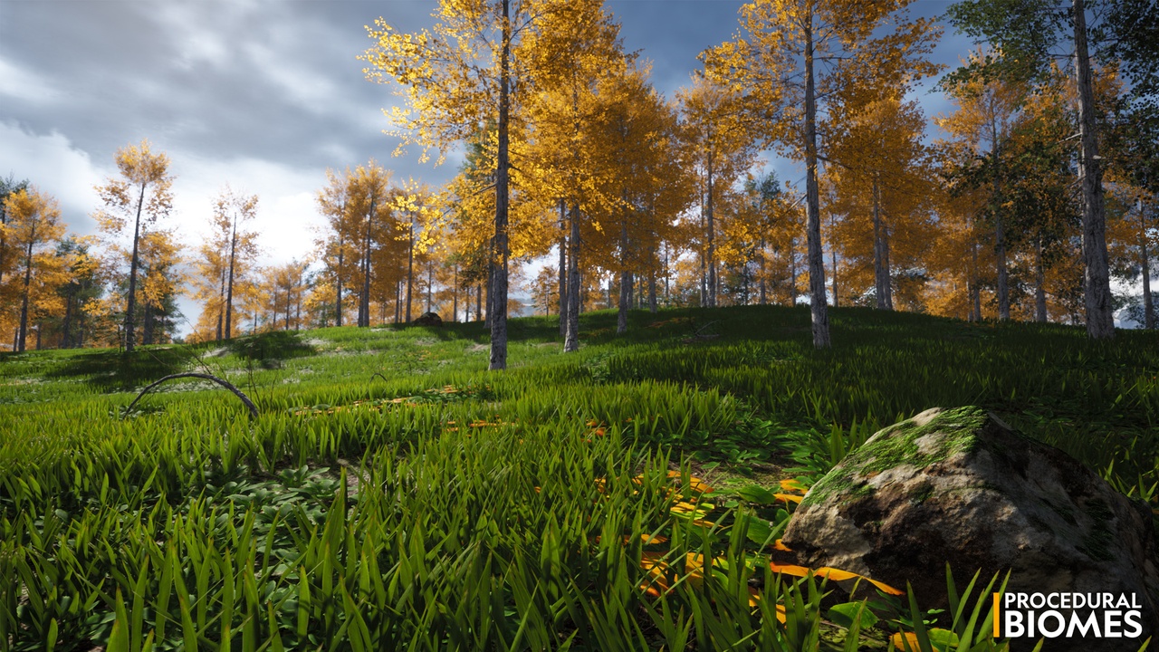 Procedural Biomes