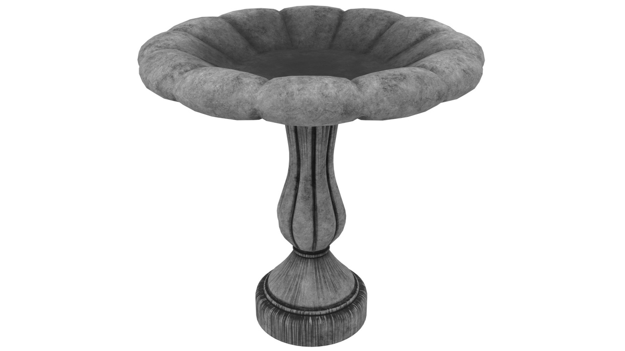 File multimediali per l'articolo Bird Bath 3 Old: 1