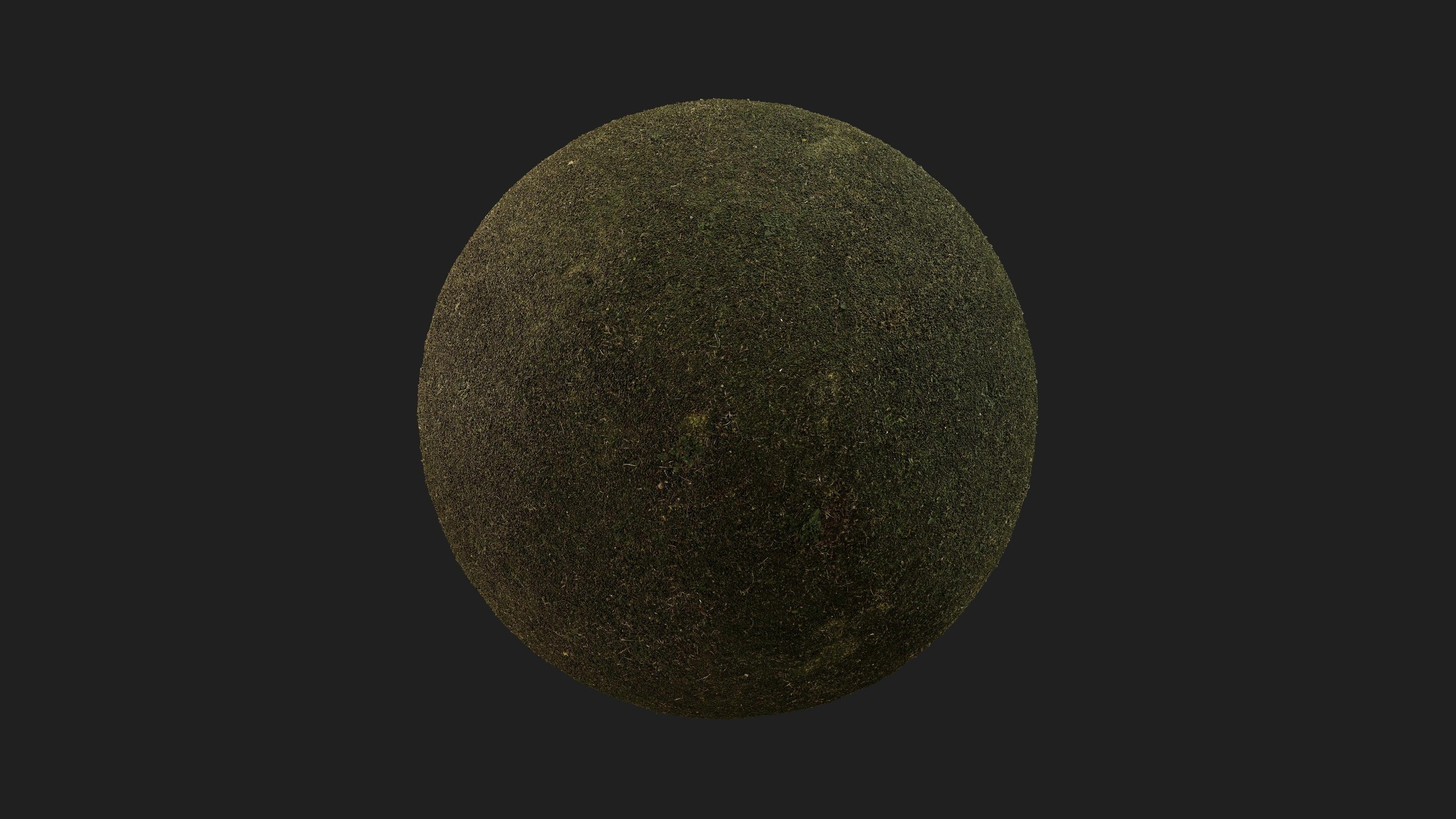 Media 1 for listing Mossy Grass