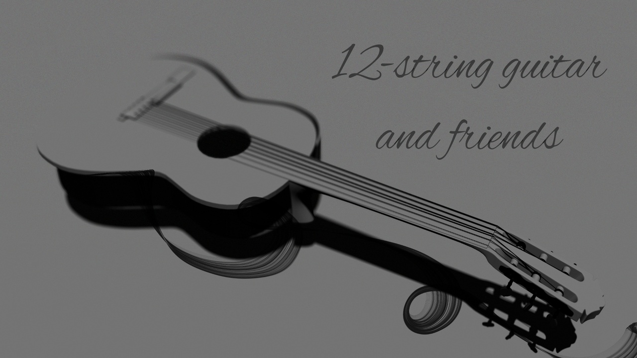 Media 1 for listing 12-String Guitar and Friends