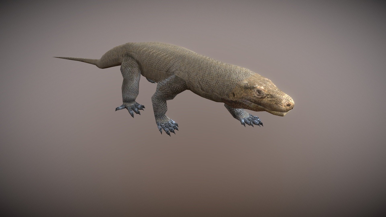 Media 1 for listing Komodo Dragon | 12+ Animations | Game Creature