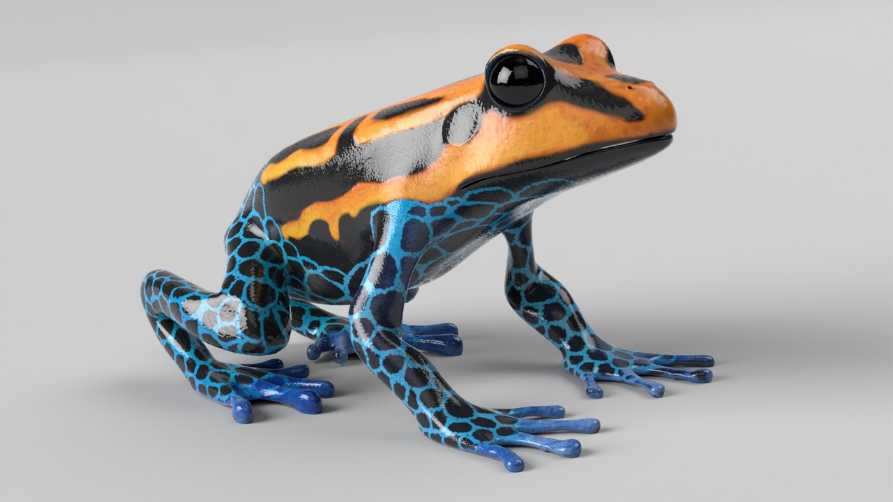 Media 1 for listing Poison Dart Frog