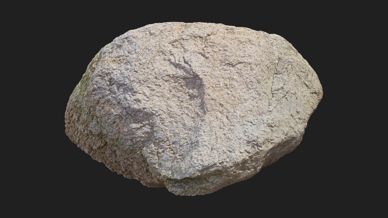 出品Beach Rockのメディア1