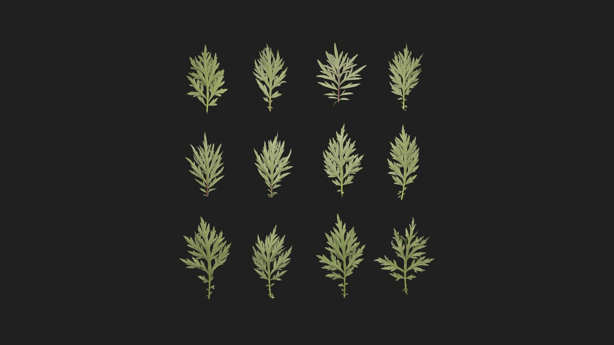 Mugwort 제품 등록을 위한 미디어 1개