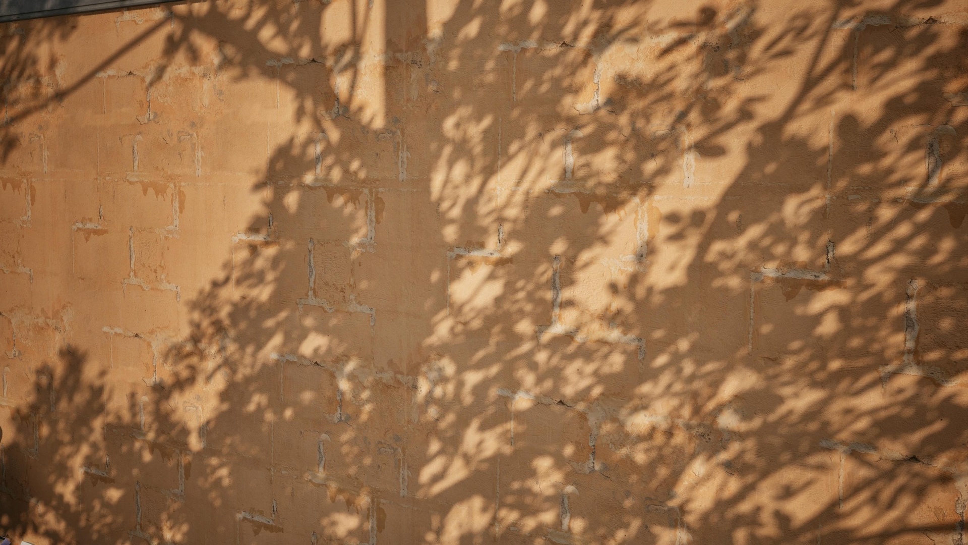商品 Plaster 04 - Scanned Photogrammetry Materials 的媒体 1