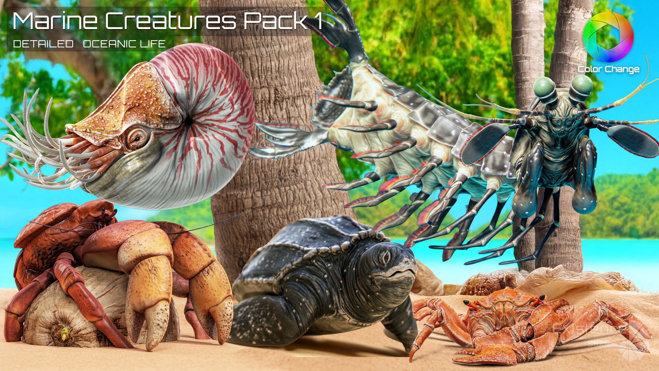 Media 1 for listing Marine Pack 1 - Crab, Coconut Crab, Mantis Shrimp, Sea Turtle, Nautilus