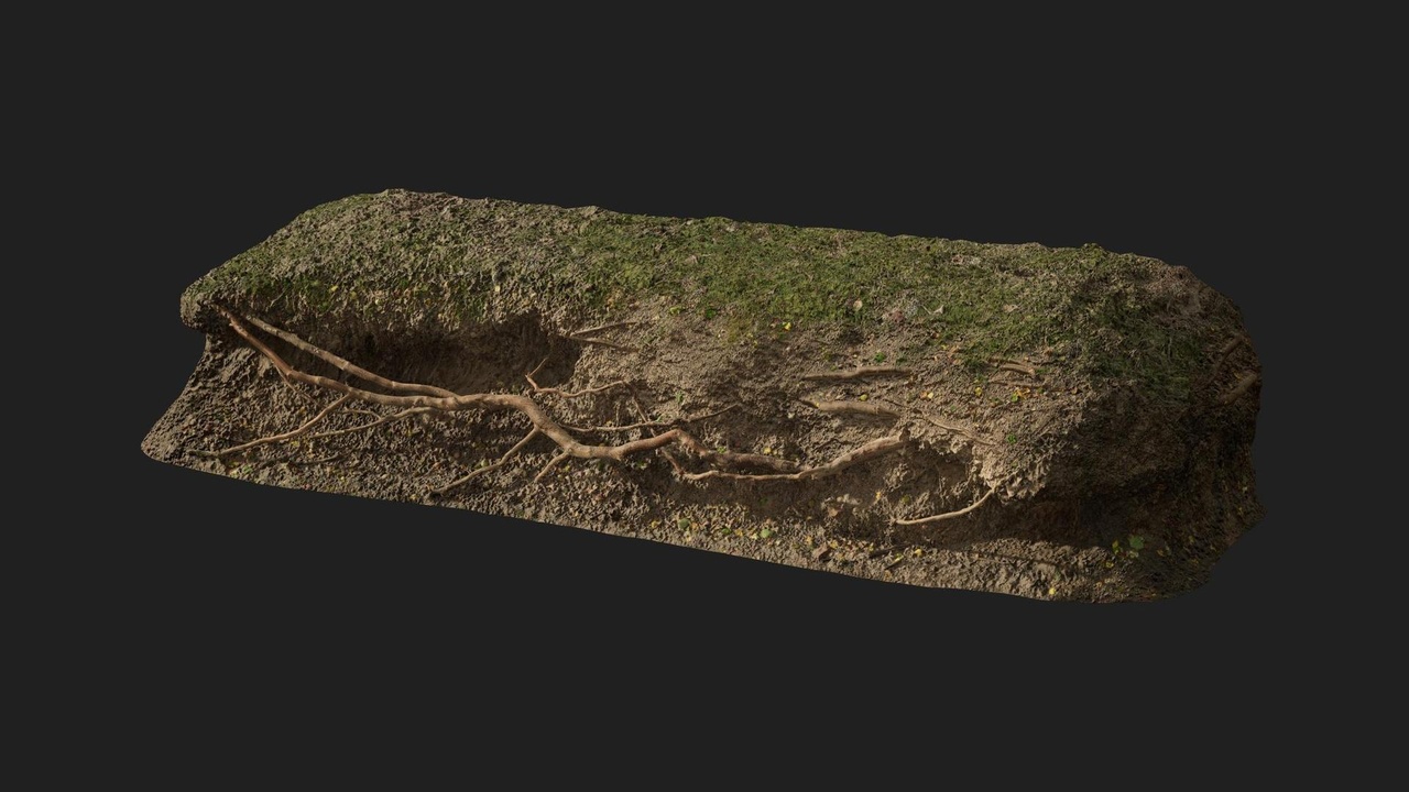 Media 1 for listing Nordic Forest Ledge Root Large