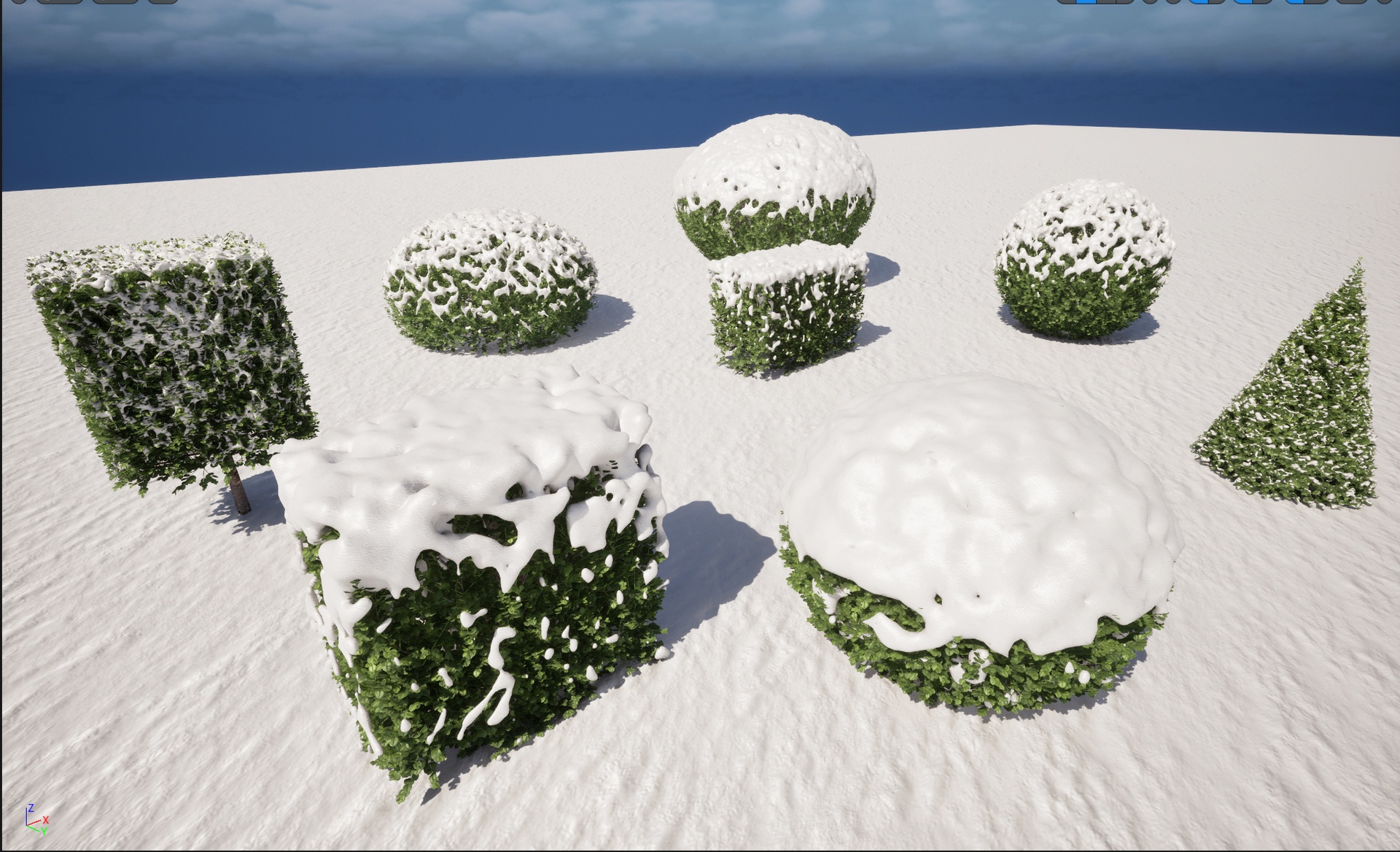 Media 1 for listing Nanite - Winter Snow Tree - Buxus Sempervirens Common Boxwood