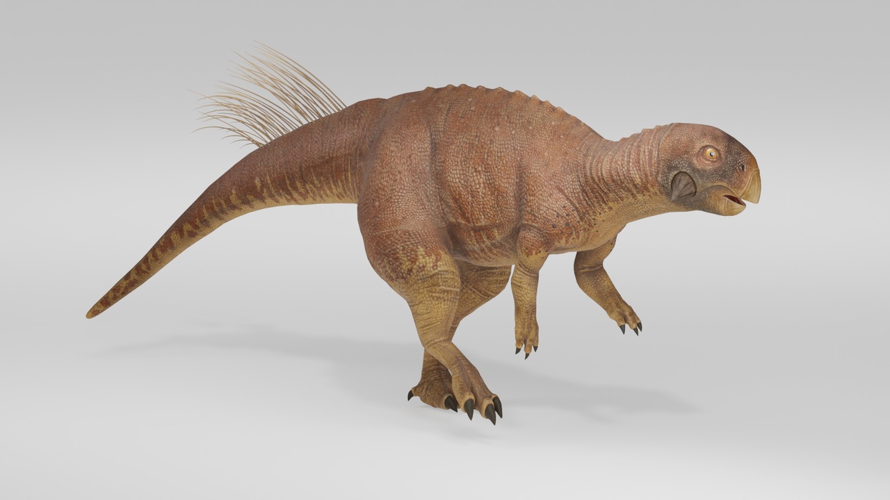 Media 1 for listing Realistic Prehistoric Psittacosaurus Dinosaur