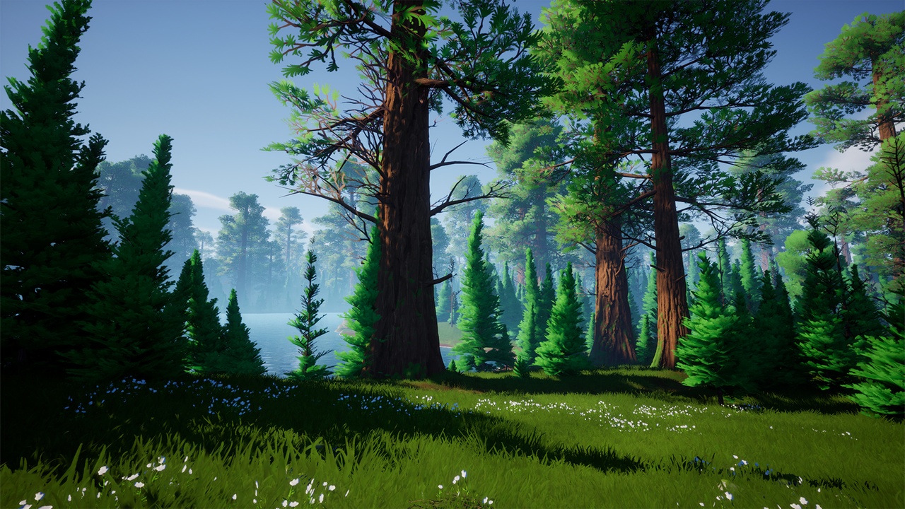Media 1 for listing Pure Nature : Redwood