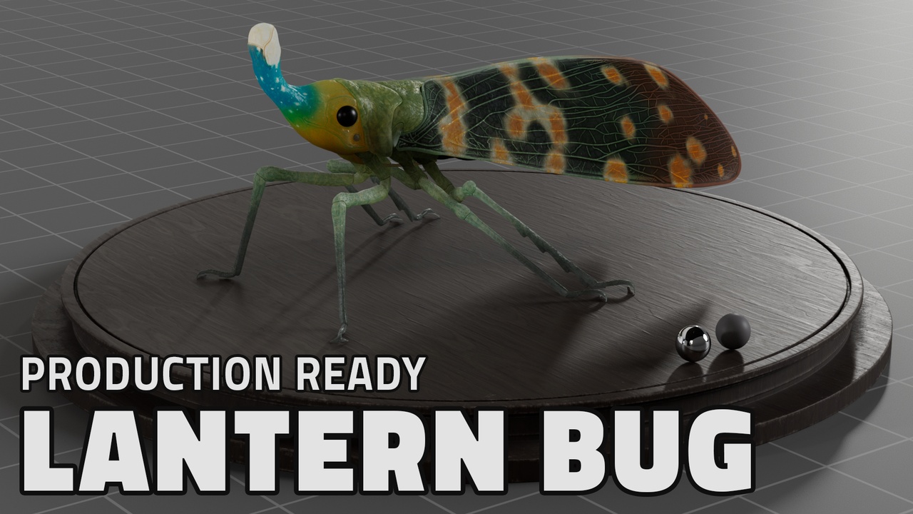 Insect Model Using Bottle Lantern Bug Insect Model | Fab