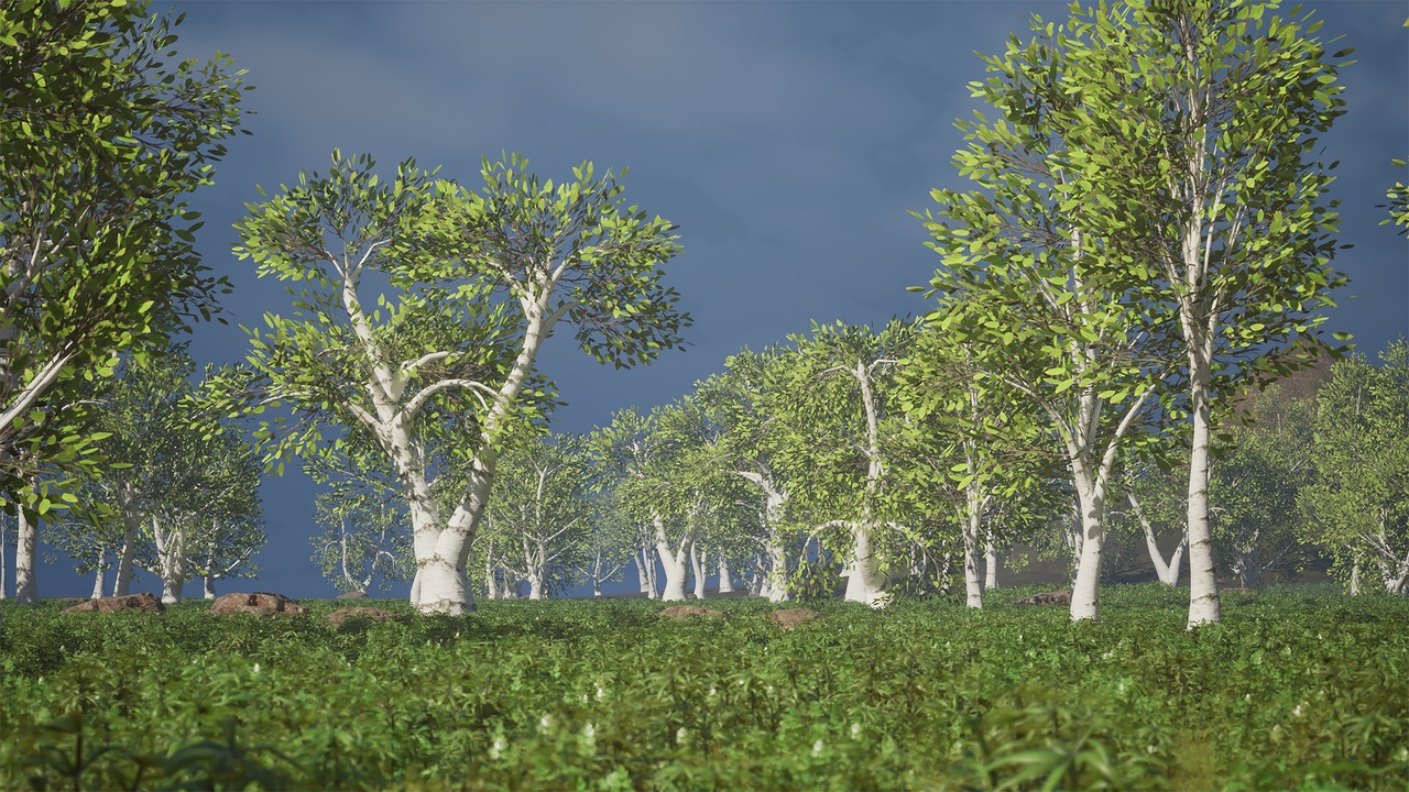 Media 1 for listing Realistic Low Poly Tree Pack 43M
