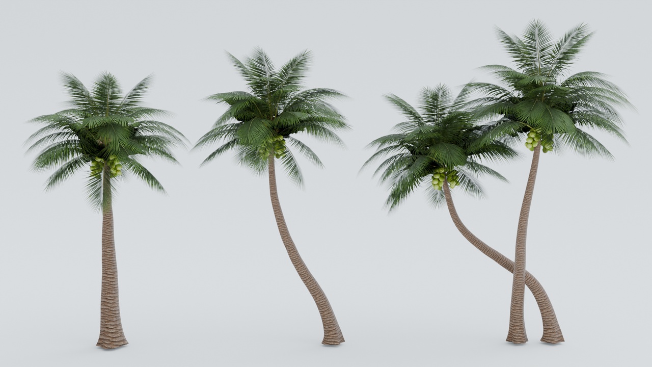 Media 1 for listing Coconut Palm Tree Pack - 4 Variants with Fruit Clusters