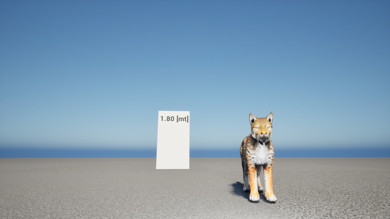 Media 1 for listing Lynx