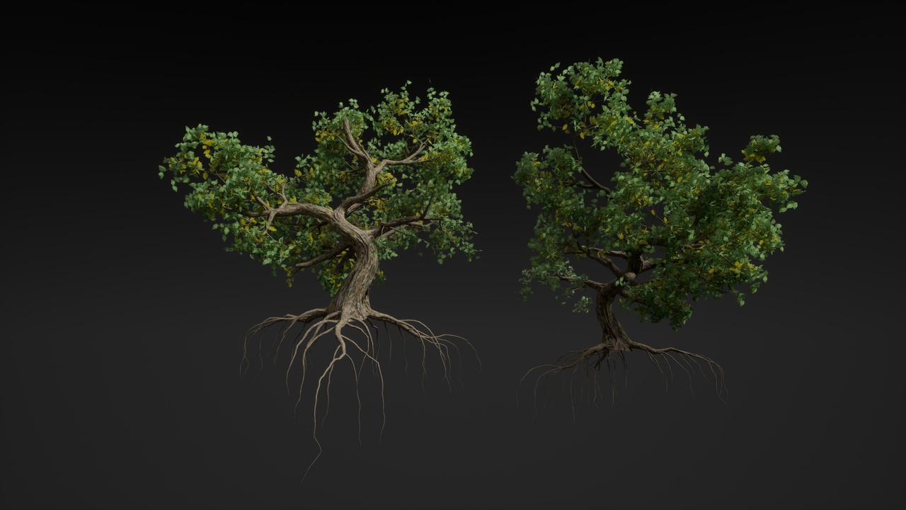 Media 1 for listing Stylized Tree