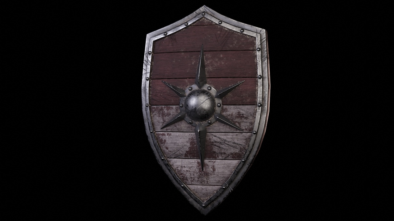 Media 1 for listing Old damaged shield