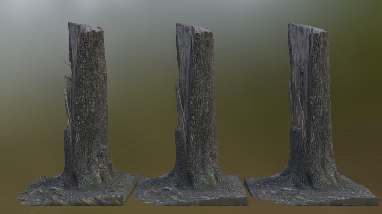 Media 1 for listing Broken tree stump - Photogrammetry