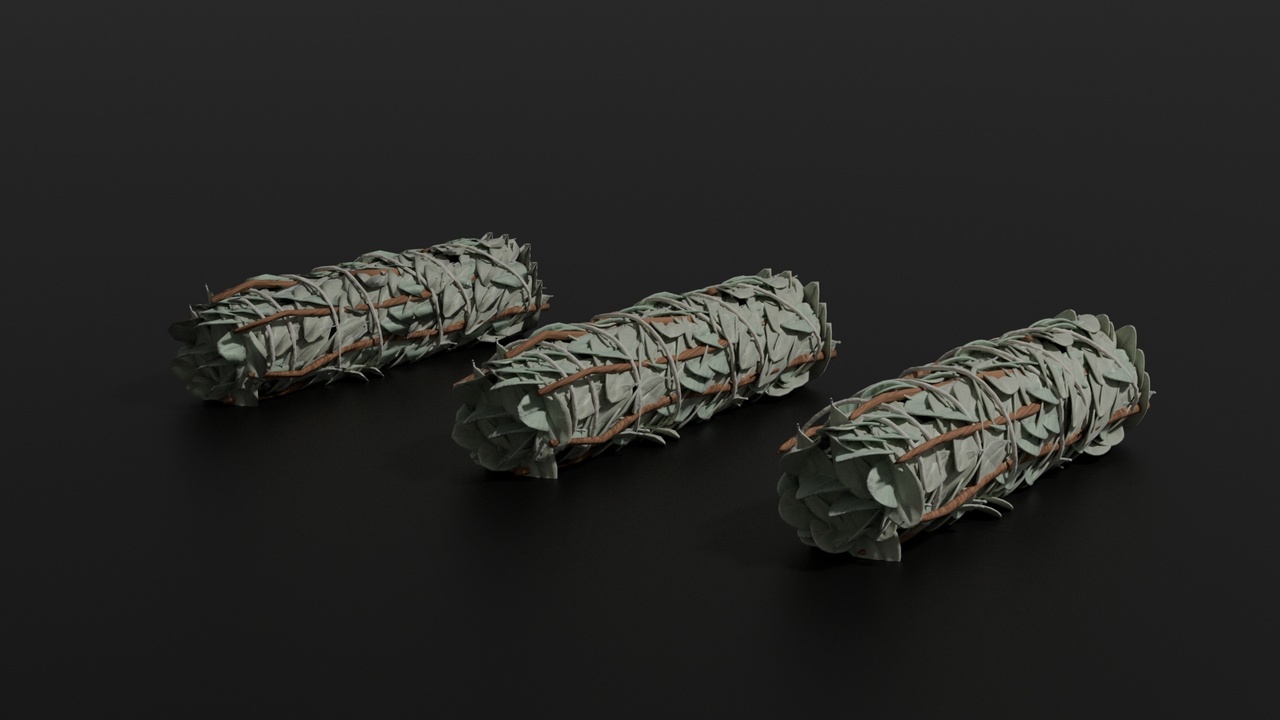 Media 1 for listing Sage Smudge Stick