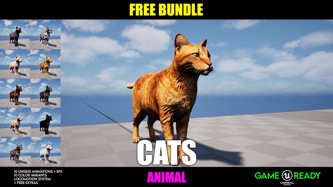 Media 1 for listing Animal - Cat | Free Bundle
