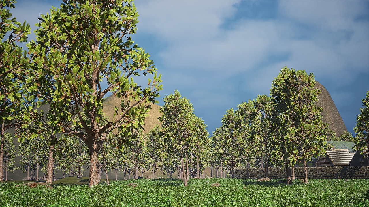 Media 1 for listing Realistic Low Poly Pine Tree Pack 78M