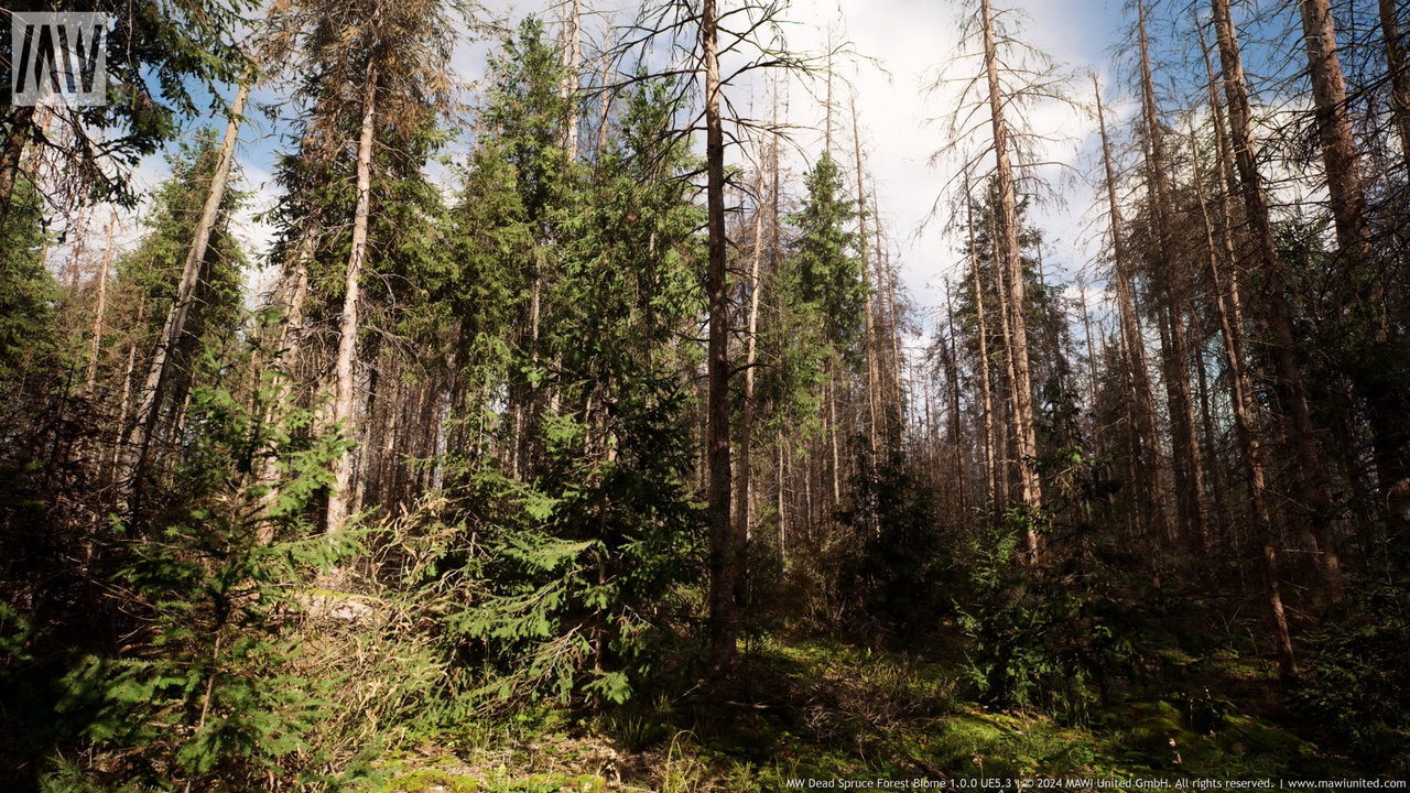 Media 1 for listing MW Dead Spruce Forest Trees Biome