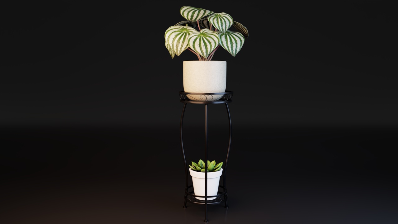 Media 1 for listing Succulent and Peperomia plants in a stylish stand