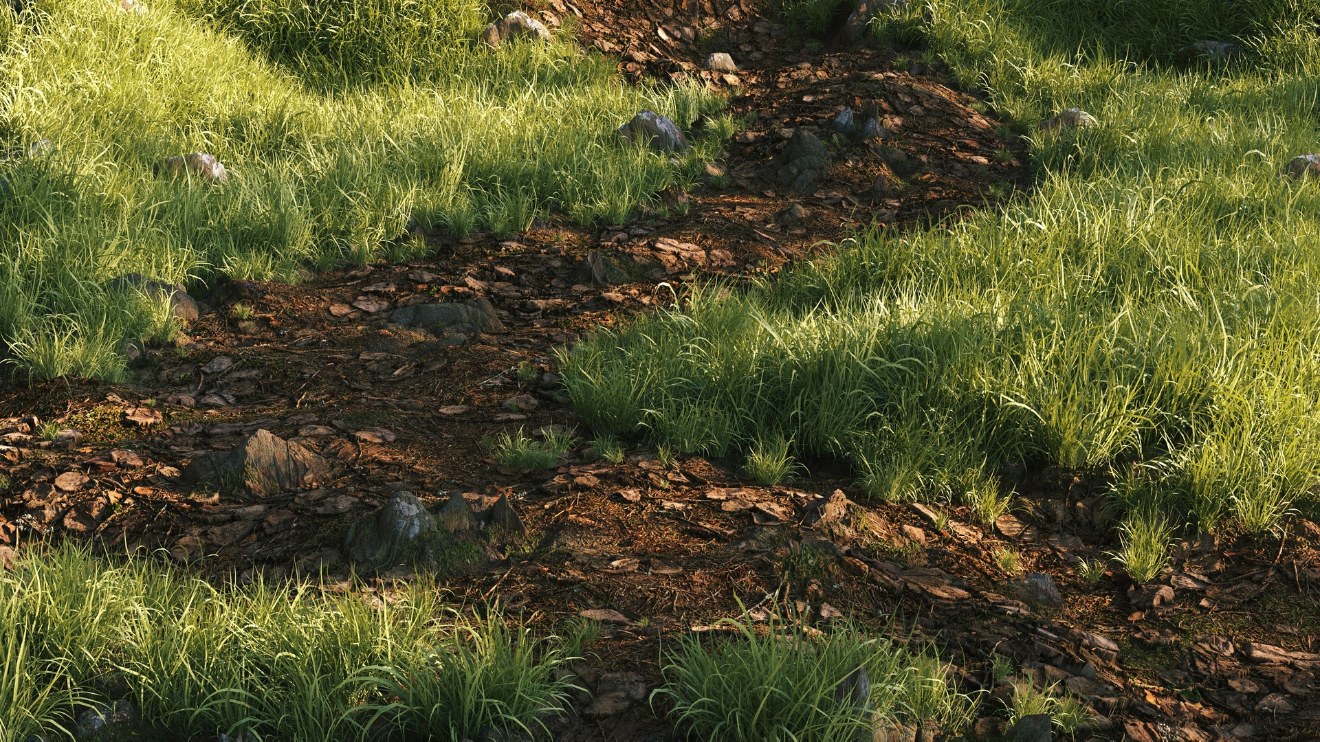 Media 1 for listing Grass Pack 001 - Ornamental Grasses