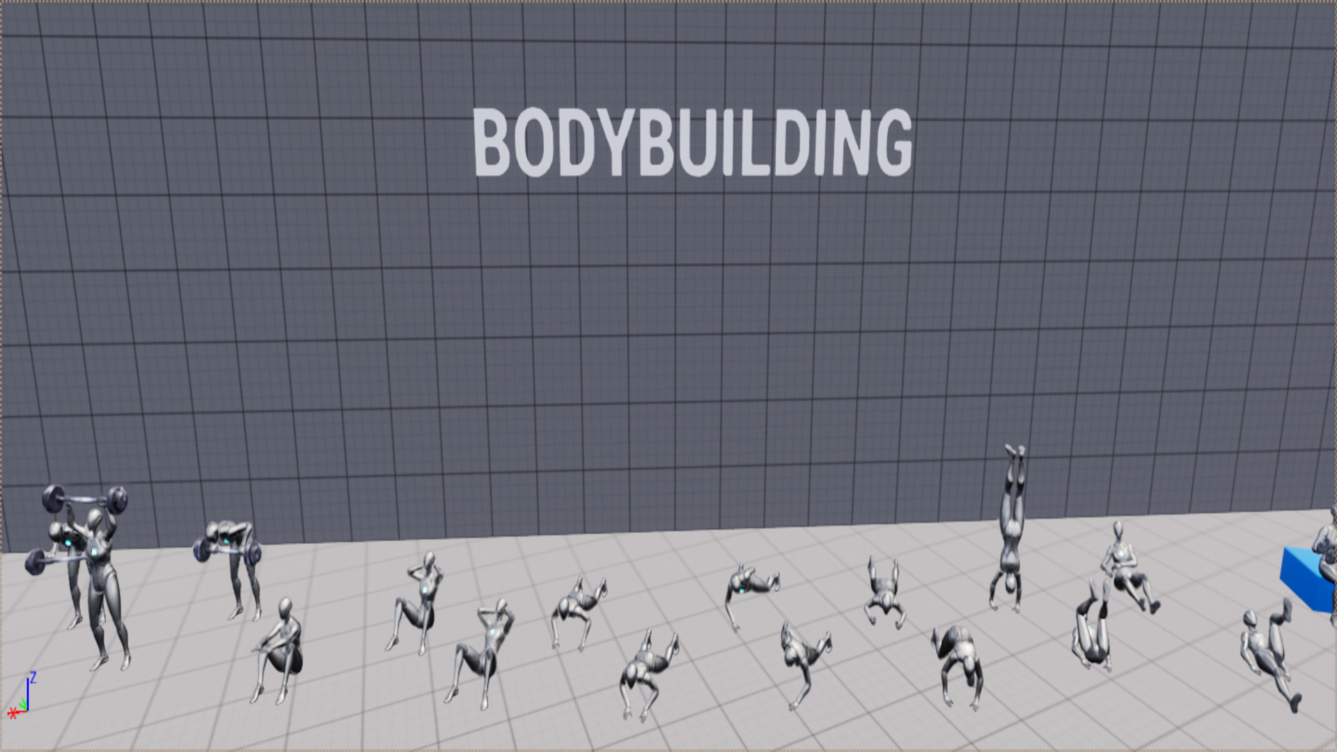 Workout Animations | Fab
