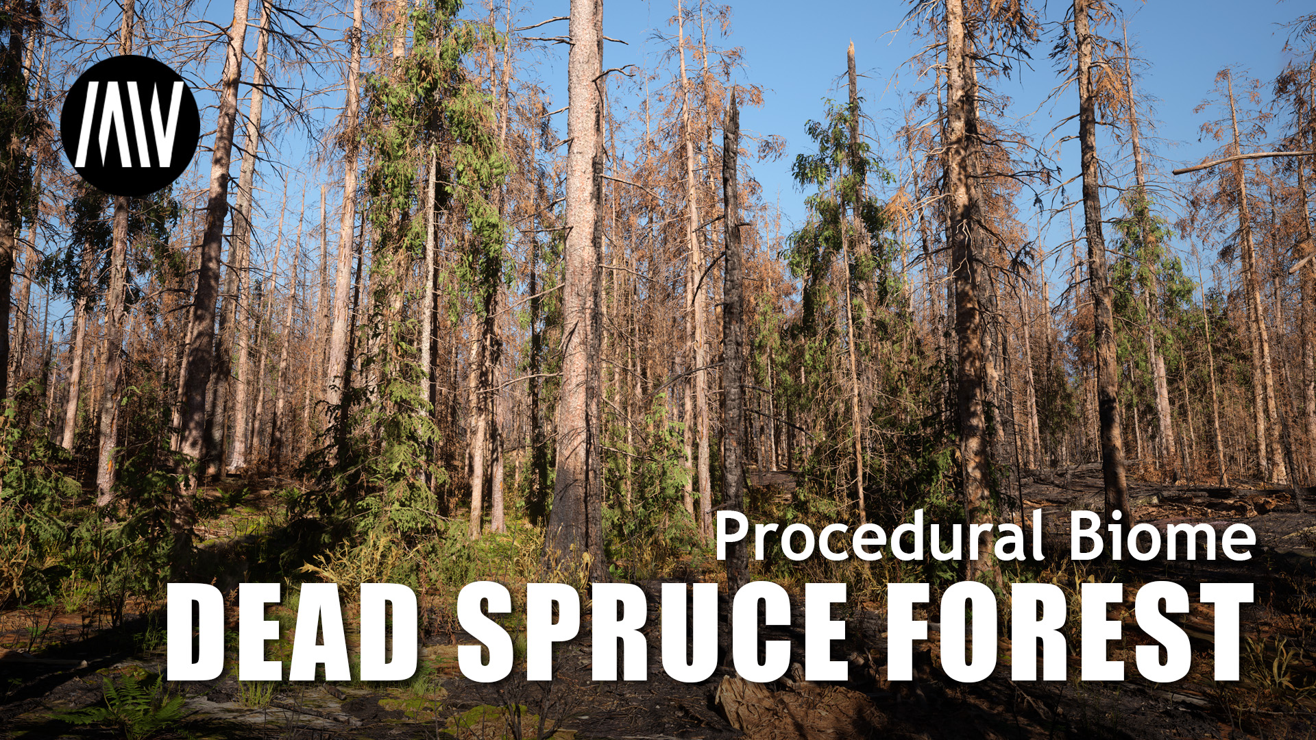 MW Dead Spruce Forest Trees Biome | Fab