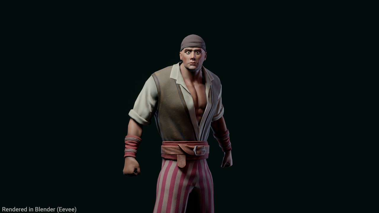 Media 1 for listing Stylized Pirate 4