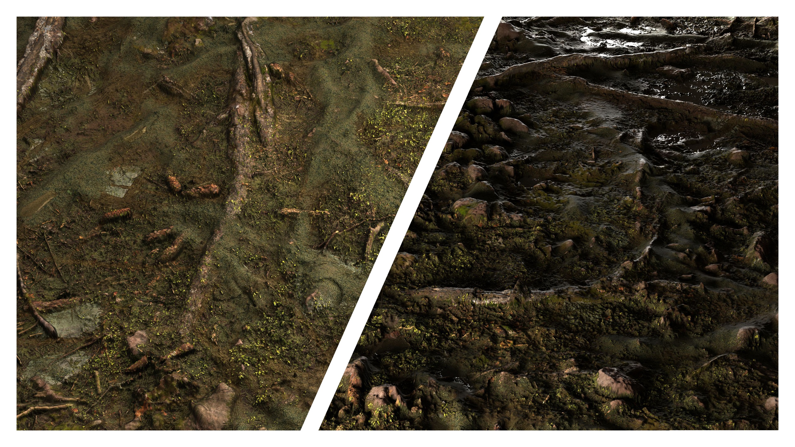 Media 1 for listing Forest Floor 8K PBR Texture Combo
