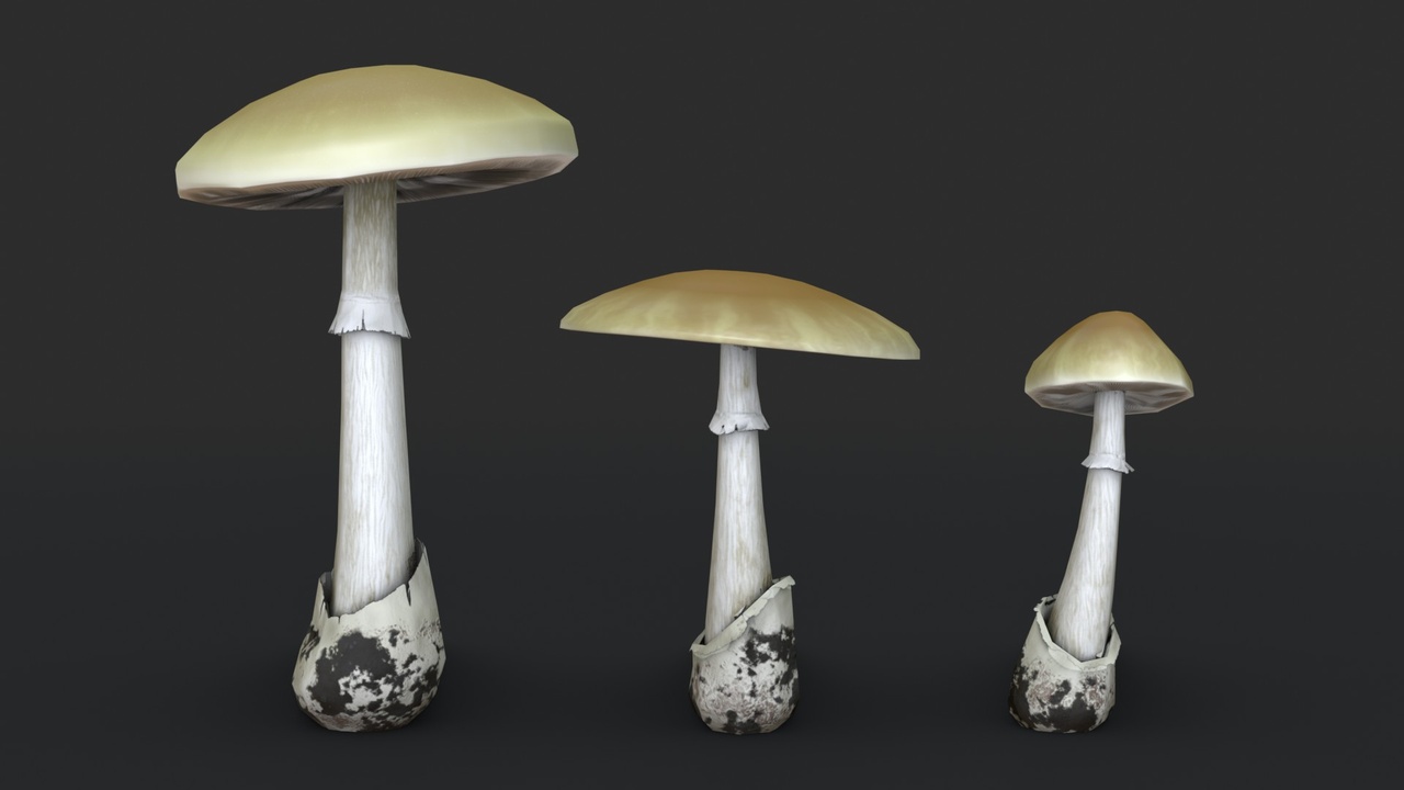 Media 1 for listing Death Cap Mushroom Set